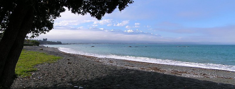 14 (55) The Beach at Kaikoura.JPG